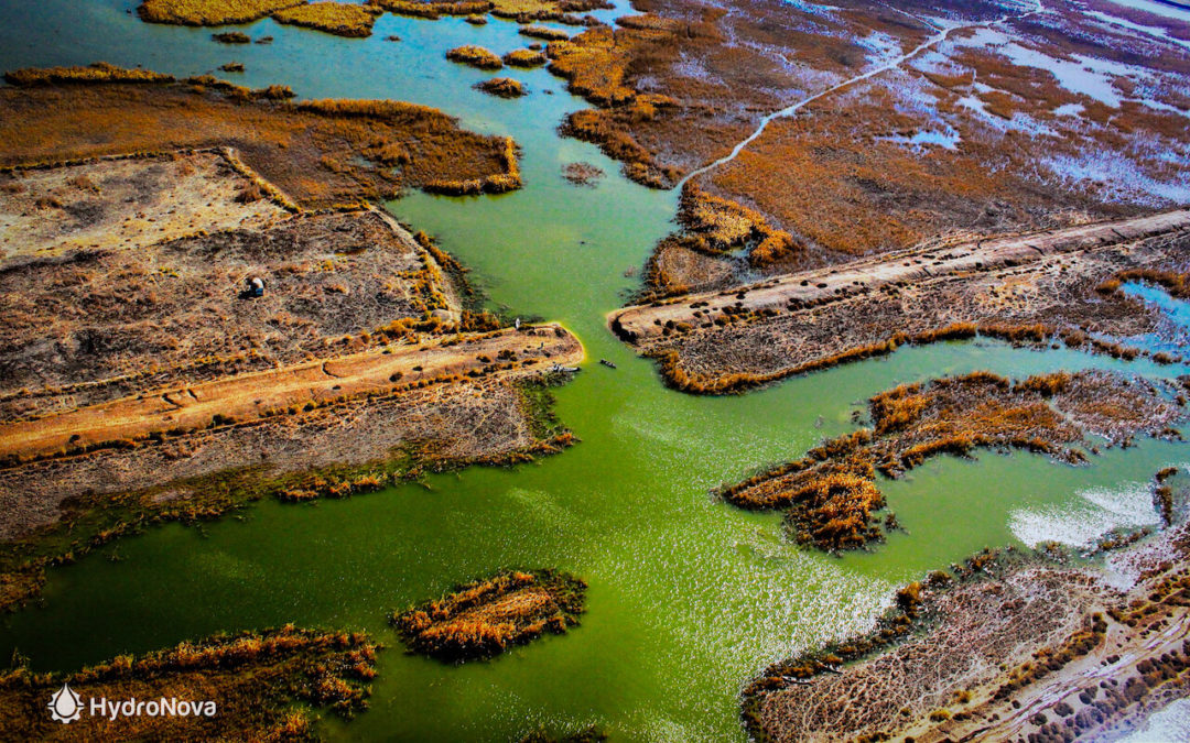 Comprehensive Marshlands Restoration Plan