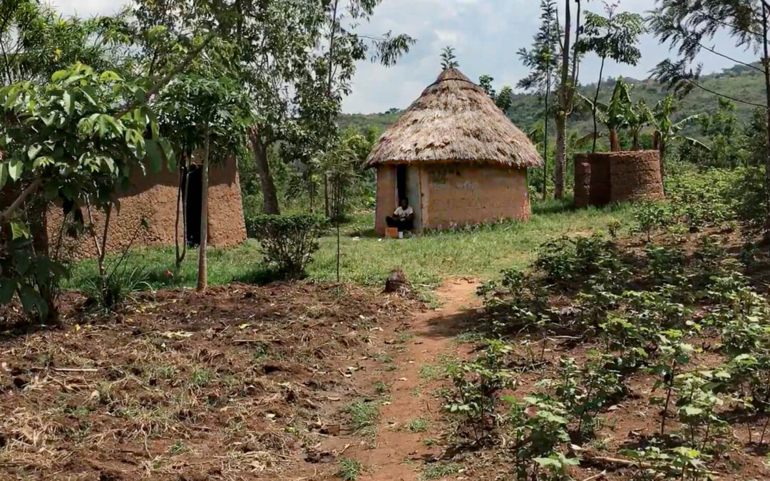 Malaba River Amagoro Irrigation Project